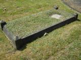 image of grave number 543460